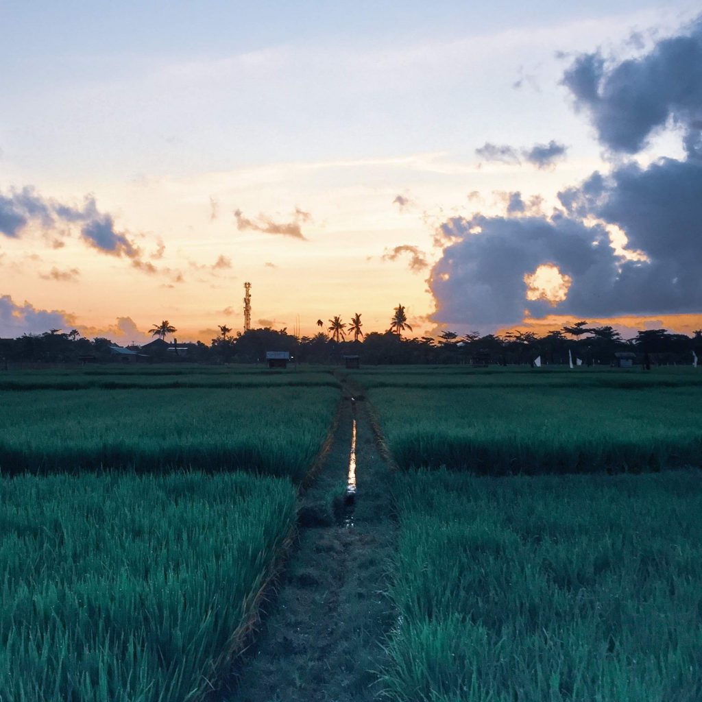 Photo of a sunset over the rice fields in bali